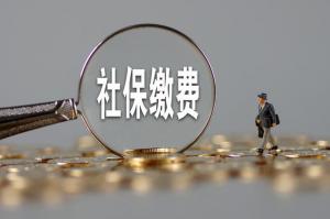 不同類型的企業(yè)和個人如何享受社保費減免優(yōu)惠？